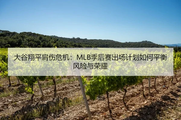 大谷翔平肩伤危机：MLB季后赛出场计划如何平衡风险与荣耀