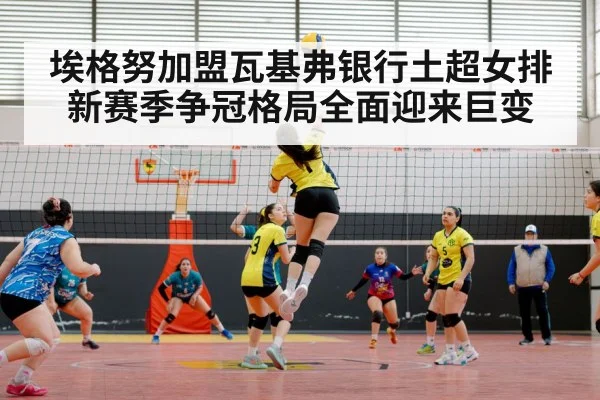 volleyball match action